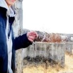 SeRgeY : 