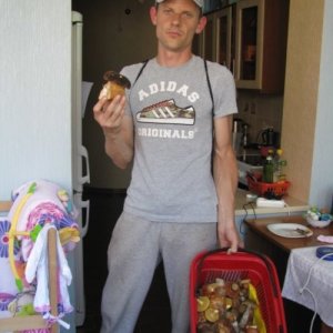 Алексей , 45 лет