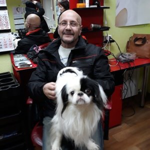 Владимир , 61 год