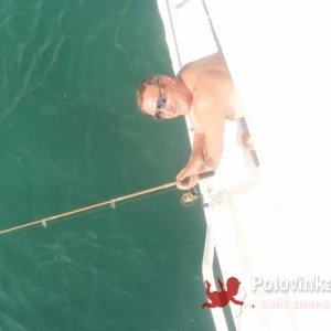 Андрей , 54 года