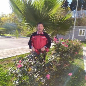 Сергей , 71 год