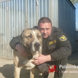 Дмитрий , 52 года