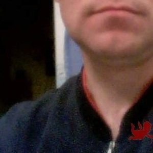 Владимир о, 47 лет