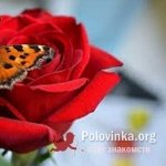 Елена, 52 года