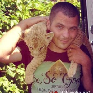 Max , 37 лет