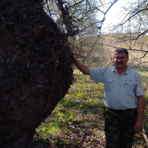 Александр , 53 года