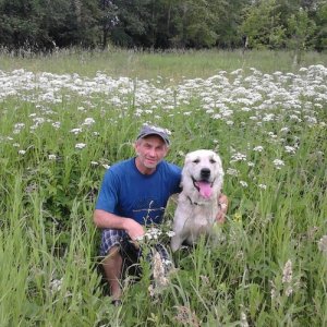 Вадим , 63 года
