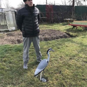 Вадим , 74 года