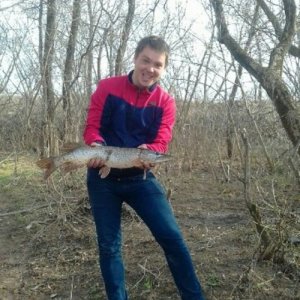 Андрей , 31 год