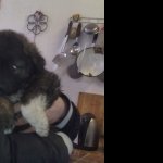 Maruf, 32 года