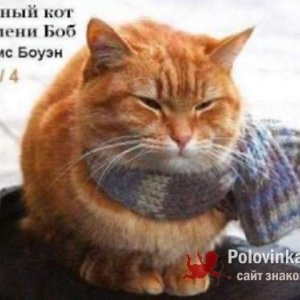 Дмитрий Липатов, 41 год
