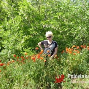 Алина , 62 года