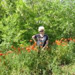 Алина, 62 года