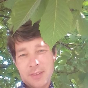Михаил , 42 года