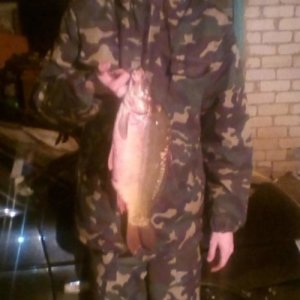 Миха , 31 год
