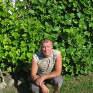 Сергей , 60 лет
