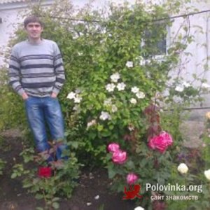 Алексей , 38 лет
