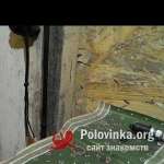 Роман, 74 года