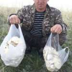 Александр Золотарёв: 