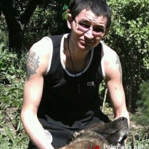 Алексей , 43 года