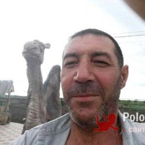 Андрей , 55 лет