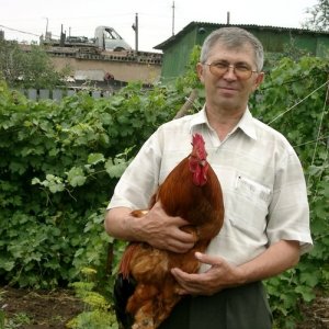 Вячеслав , 74 года