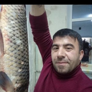 Алик , 43 года