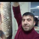 Алик, 43 года