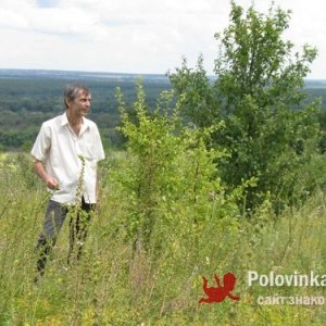 Нико , 55 лет
