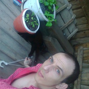 Алексей , 33 года