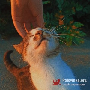 Кристина Денисенко, 29 лет