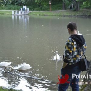 Сережа , 32 года