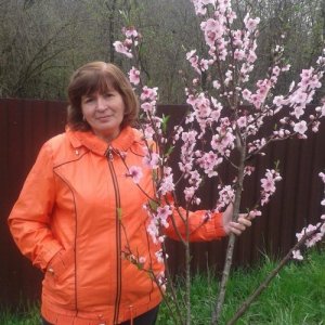 Светлана , 67 лет
