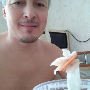 Сергей , 54 года