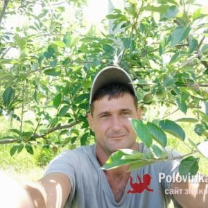 Анатолий , 36 лет
