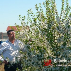 Владимир коноваленко, 54 года