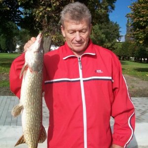 Георгий , 62 года