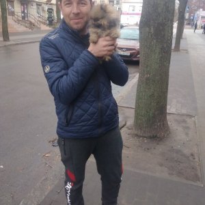 Дима , 33 года