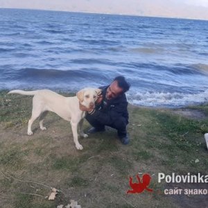 Aro , 51 год