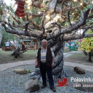 АЛЕКСАНДР , 67 лет