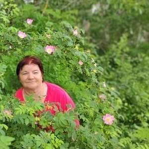 Светлана , 72 года