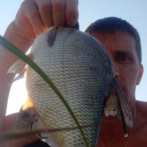 Денис , 45 лет