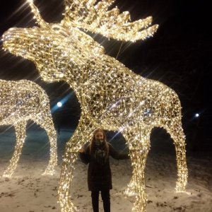 Алёна , 23 года
