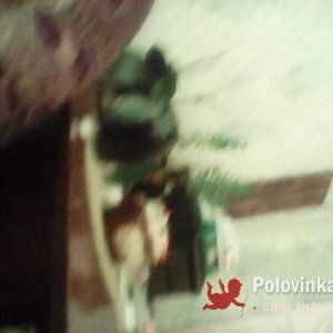 Nail , 53 года
