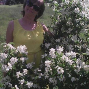 Светлана , 59 лет