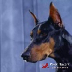 Алексей , 46 лет