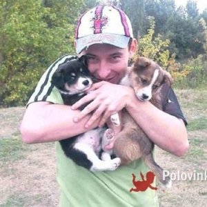 Александр Коровин, 44 года