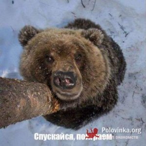 Владимир , 40 лет