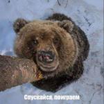 Владимир, 40 лет