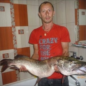 Дмитрий , 46 лет